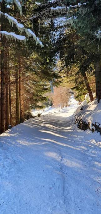 Вілла Residenza Sofia - Ponte Di Legno Fraz. Pezzo Екстер'єр фото